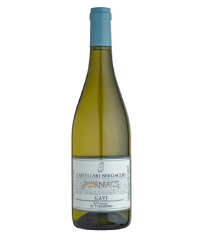 �{�g���摜