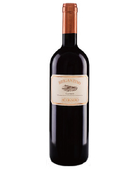 �{�g���摜