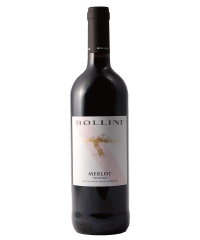 �{�g���摜