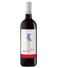 �{�g���摜