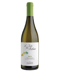 �{�g���摜